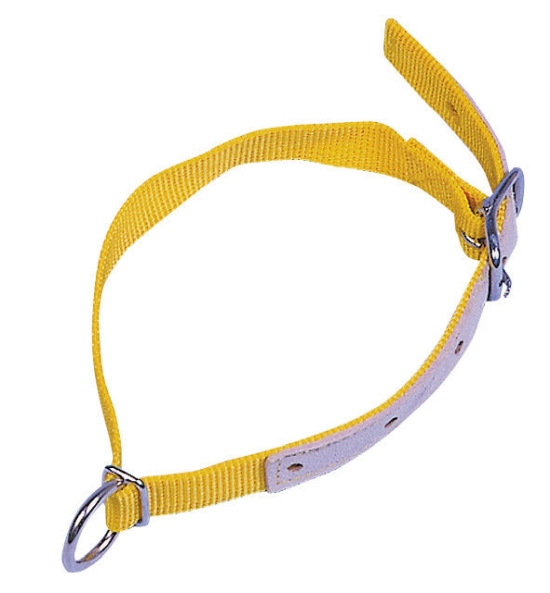 Halsband v. schapen, 60cm geel