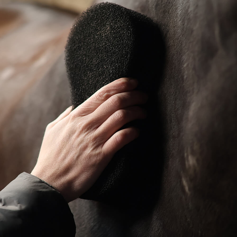 Spons SHINE SCRUBBER