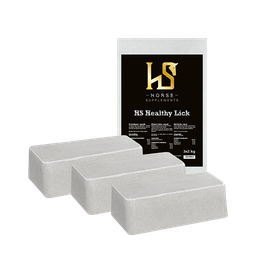 HS Healthy Lick sel à lécher 3x 2kg