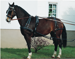 Harnais de conduite Exklusiv Double en main